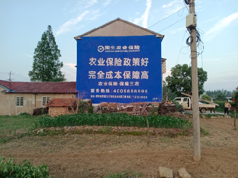 佛坪墙体广告为何受追捧?