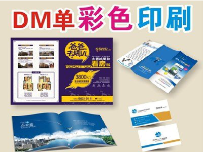 佛坪单页印刷，色彩搭配简单。
